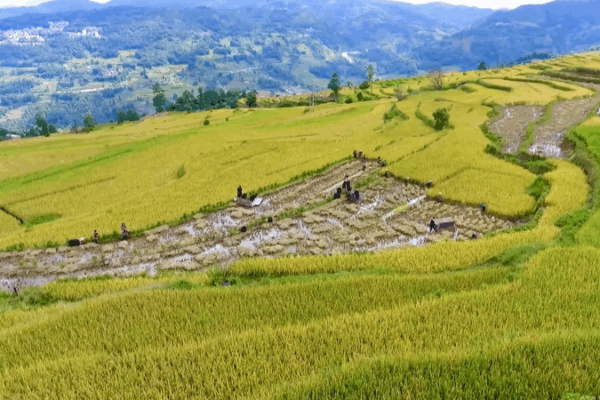 China’s Ancient Water Wonders Join Global Heritage List 🌊🏯 China’s Ancient Water Wonders Join Global Heritage List 🌊🏯 video poster