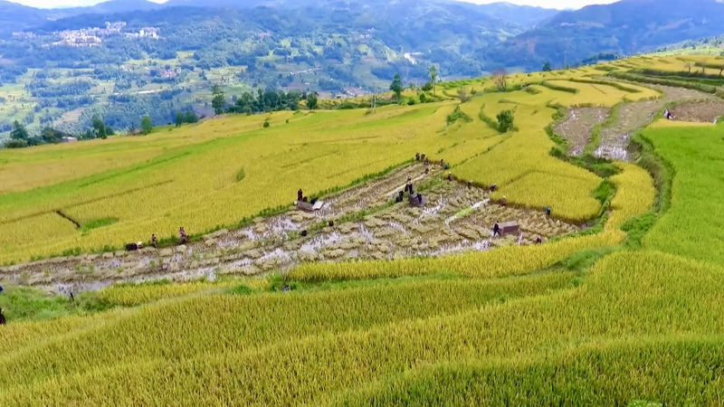 C5XK741WPEIJN6H1VDVF - 🌍NewspaperAmigo – Your Global News Buddy 🗞️ China’s Ancient Water Wonders Join Global Heritage List 🌊🏯 video poster
