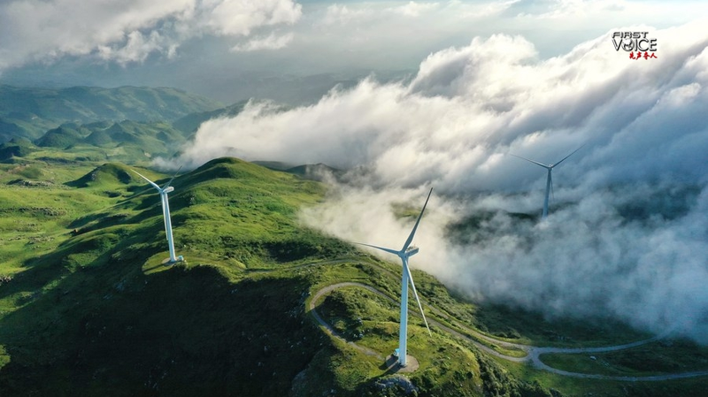 Chinaโs Climate Vision: Leading Global Green Shift ๐ฑ๐ Chinaโs Climate Vision: Leading Global Green Shift ๐ฑ๐