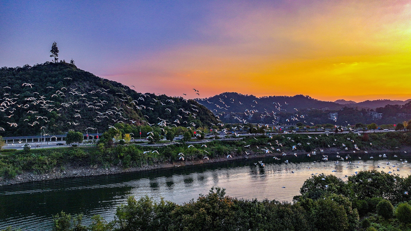 🌱 Hangzhou to Host Major UN Eco-Summit with Global Impact! 🌱 Hangzhou to Host Major UN Eco-Summit with Global Impact! video poster
