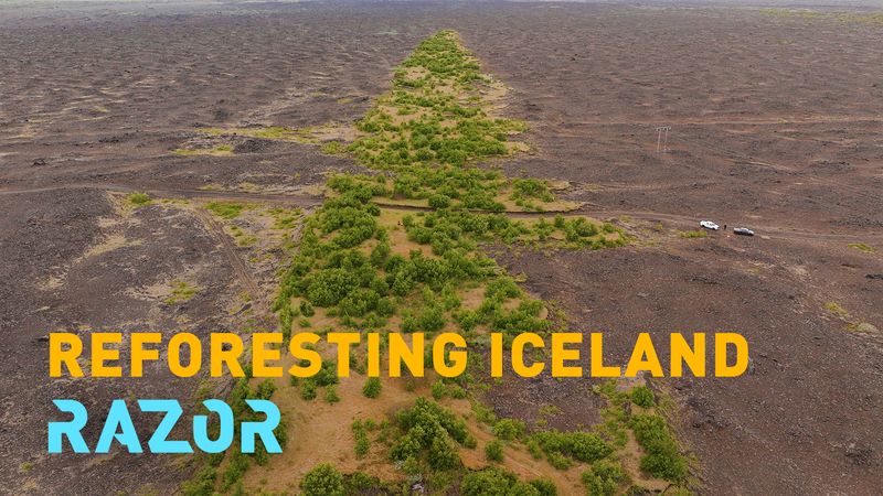 Iceland’s Epic Quest to Regrow Its Lost Forests 🌱❄️ video poster