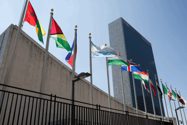 UN & SCO Join Forces: Global Cooperation Gets a Boost ๐โจ UN & SCO Join Forces: Global Cooperation Gets a Boost ๐โจ