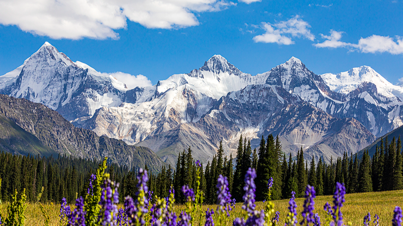 Capture Xinjiang’s Beauty: Global Photography Contest Opens! 📸🏔️ Capture Xinjiang’s Beauty: Global Photography Contest Opens! 📸🏔️