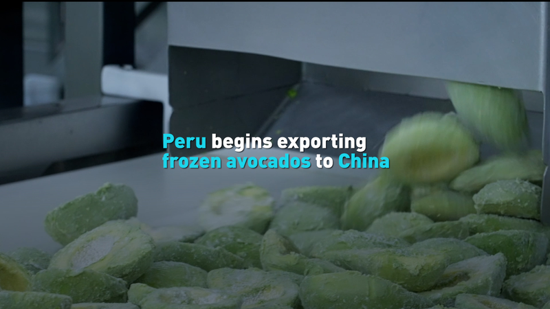 GWMEJIMXX28FJ9SST7FI - 🌍NewspaperAmigo – Your Global News Buddy 🗞️ Peru's Avocado Boom Hits China! 🥑🌍 video poster