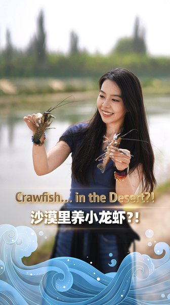 🦞🌕 Desert Crawfish Steal the Show at Xinjiang’s Mid-Autumn Feast! video poster