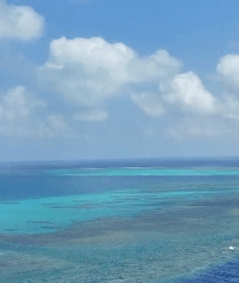 🌊 China’s Huangyan Dao Becomes Protected Marine Paradise 🐠 🌊 China's Huangyan Dao Becomes Protected Marine Paradise 🐠 video poster