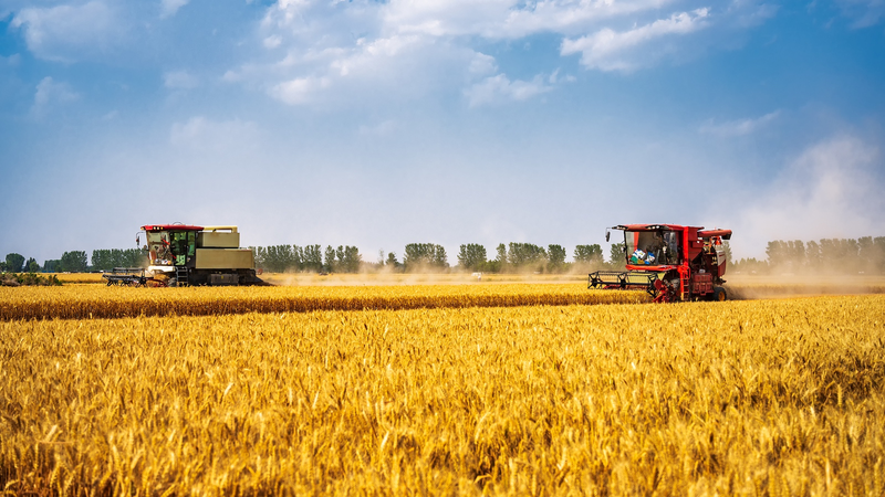 China’s Farmland Protection Hits New Milestone 🌾🛡️ China's Farmland Protection Hits New Milestone 🌾🛡️