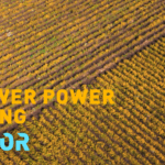 IKULAYCWOTGTZWPAHQLY - 🌍NewspaperAmigo – Your Global News Buddy 🗞️ Flower Power: How Albania’s Plants Are Mining Nickel Sustainably 🌱⚡ video poster