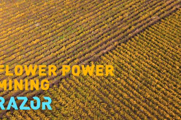 Flower Power: How Albania’s Plants Are Mining Nickel Sustainably 🌱⚡ Flower Power: How Albania’s Plants Are Mining Nickel Sustainably 🌱⚡ video poster