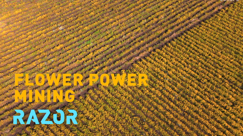 Flower Power: How Albania’s Plants Are Mining Nickel Sustainably 🌱⚡ video poster