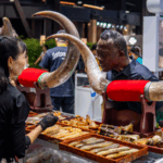 ITF4Y9WQVUPIQB8H27RX - 🌍NewspaperAmigo – Your Global News Buddy 🗞️ Africa & China Unite at CIFTIS 2025: Trade, Tech & Culture 🌍🤝