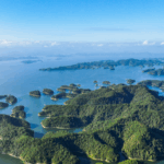 🌱 Digital Tech Meets Nature: UNESCO Summit Charts New Path for Biosphere Protection