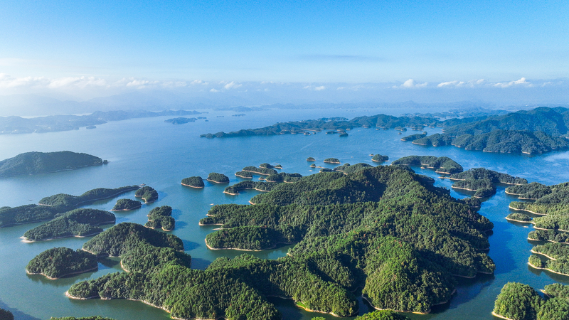 🌱 Digital Tech Meets Nature: UNESCO Summit Charts New Path for Biosphere Protection