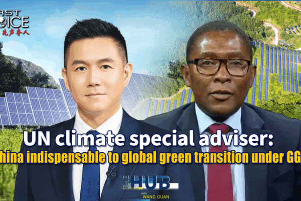 China Powers Global Green Shift 🌱⚡ China Powers Global Green Shift 🌱⚡ video poster