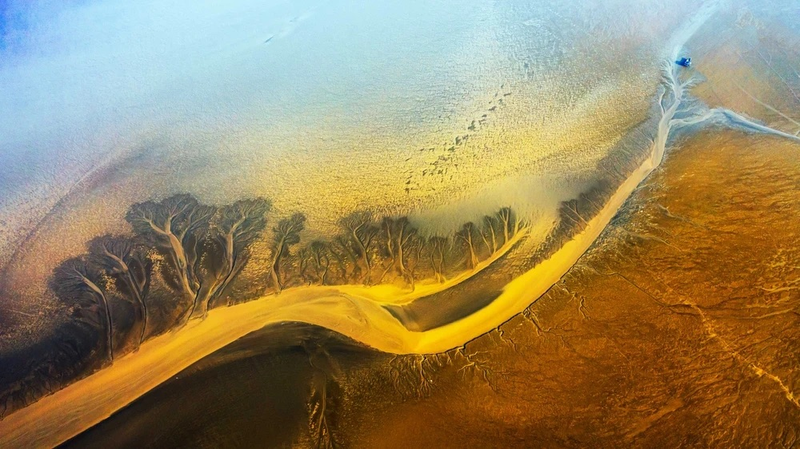 World Coastal Forum 2025 Kicks Off in Yancheng 🌊🌍