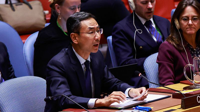 China Calls for Immediate End to Gaza Crisis at UNSC 🌍✌️