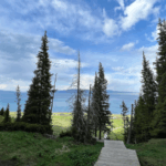 LA5UCUYOVDHUAL1S0IVT - 🌍NewspaperAmigo – Your Global News Buddy 🗞️ Nature's Masterpiece: Xinjiang's Songshutou & Sayram Lake 🌲🌊 video poster