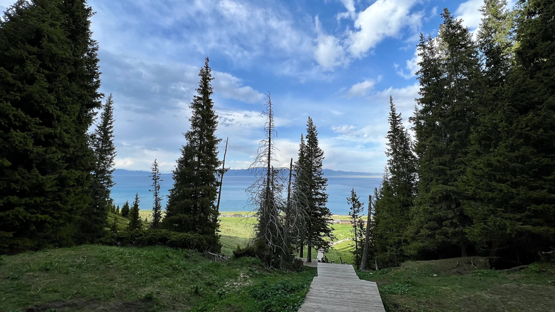 Nature's Masterpiece: Xinjiang's Songshutou & Sayram Lake 🌲🌊 video poster