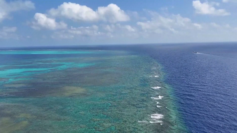 China’s New Marine Reserve Protects Coral Reefs 🌊🐠 China's New Marine Reserve Protects Coral Reefs 🌊🐠