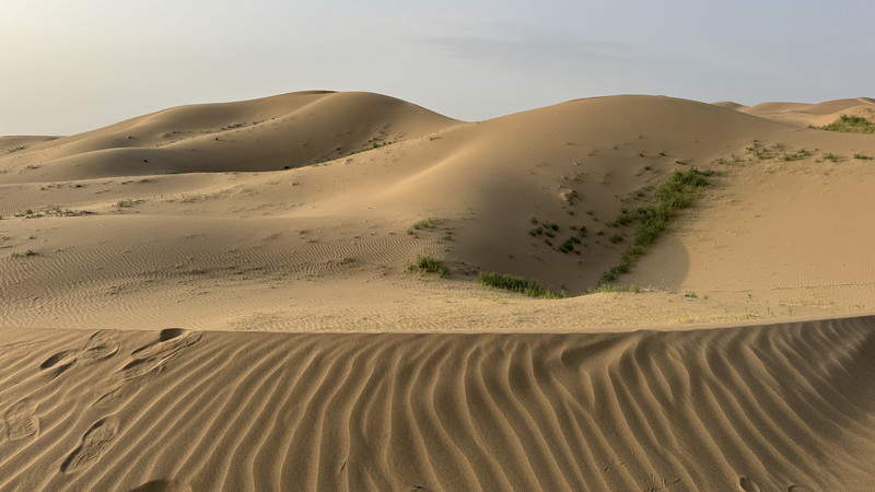 From Desert to Oasis: Ningxia’s 70-Year Green Revolution 🌱🏜️✨ From Desert to Oasis: Ningxia’s 70-Year Green Revolution 🌱🏜️✨