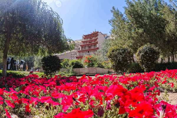 Dunhuang’s Mogao Grottoes Shine in Autumn 🌄✨