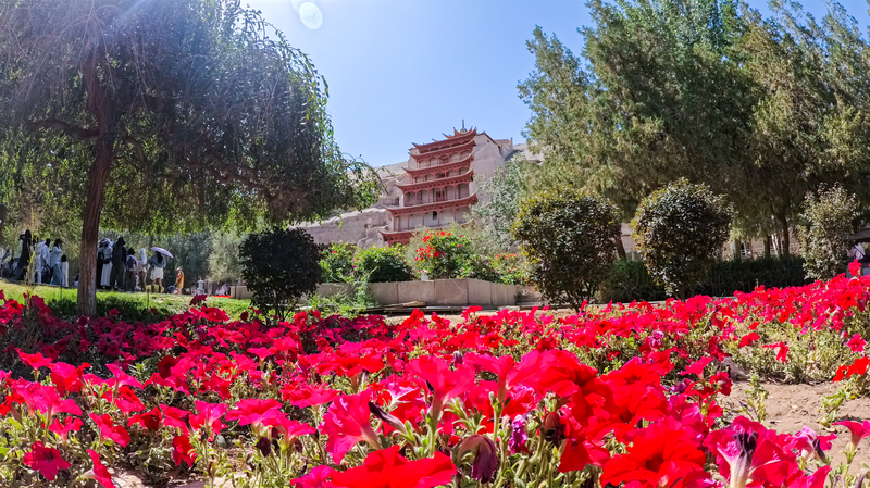 Dunhuang’s Mogao Grottoes Shine in Autumn 🌄✨