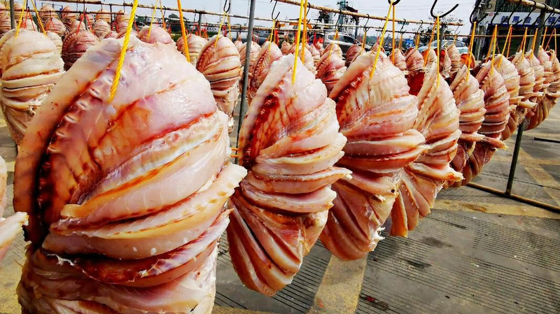 Danzhou’s Sun-Dried Snapper: A Cultural Treasure 🐟✨ Danzhou’s Sun-Dried Snapper: A Cultural Treasure 🐟✨
