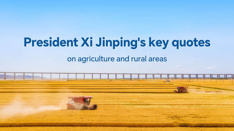 Xi Jinping Stresses Food Security as China Celebrates Farmers’ Harvest πΎπ¨π³ Xi Jinping Stresses Food Security as China Celebrates Farmers' Harvest πΎπ¨π³