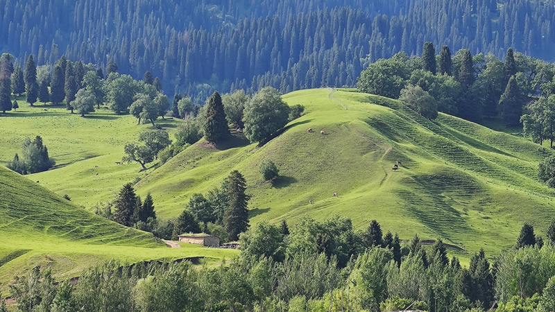 Unveiling the Mysteries of the Ancient Wusun Kingdom 🌄🏛️ video poster