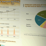 MX6LRE6LC18QSEY2BMLJ - 🌍NewspaperAmigo – Your Global News Buddy 🗞️ China’s Farmers’ Harvest Festival: Celebrating Agriculture & Growth 🌾📈