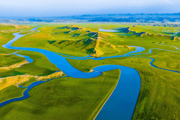 Discover Xinjiang’s Hidden Gem: Bayanbulak Grassland 🌿✨ Discover Xinjiang’s Hidden Gem: Bayanbulak Grassland 🌿✨
