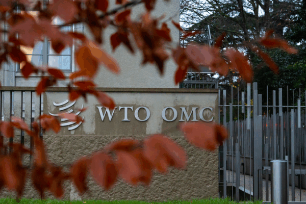 🌍 China-Led WTO Seminar Tackles Global Trade Turmoil & Unilateral Tariffs 🌍 China-Led WTO Seminar Tackles Global Trade Turmoil & Unilateral Tariffs