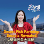P0AX8V1YTMH1NHFD9KMZ - 🌍NewspaperAmigo – Your Global News Buddy 🗞️ 🐟 Turpan’s Desert Fish Farms: How They’re Defying the Odds! video poster