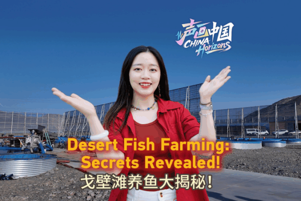🐟 Turpan’s Desert Fish Farms: How They’re Defying the Odds! 🐟 Turpan’s Desert Fish Farms: How They’re Defying the Odds! video poster