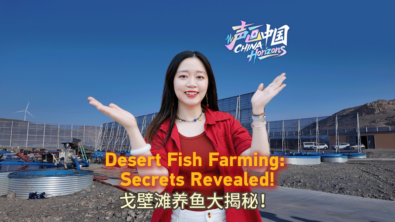 🐟 Turpan’s Desert Fish Farms: How They’re Defying the Odds! video poster
