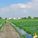 PEOKGQWL13BNYS3RTTD3 - 🌍NewspaperAmigo – Your Global News Buddy 🗞️ 🌾 Escape to China’s Countryside with CCTV’s New Autumn Series!