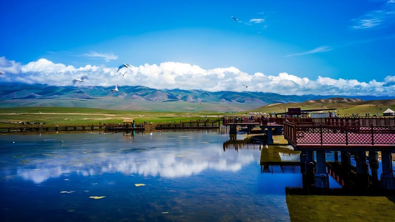 PYTD24LREXT1CNEE37H3 - 🌍NewspaperAmigo – Your Global News Buddy 🗞️ Swan Lake Magic: Bayanbulak’s Natural Wonder 🌊🦢 video poster