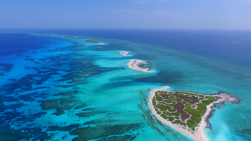 🌊 How WWII Shaped Today’s South China Sea Order 🌊 How WWII Shaped Today’s South China Sea Order