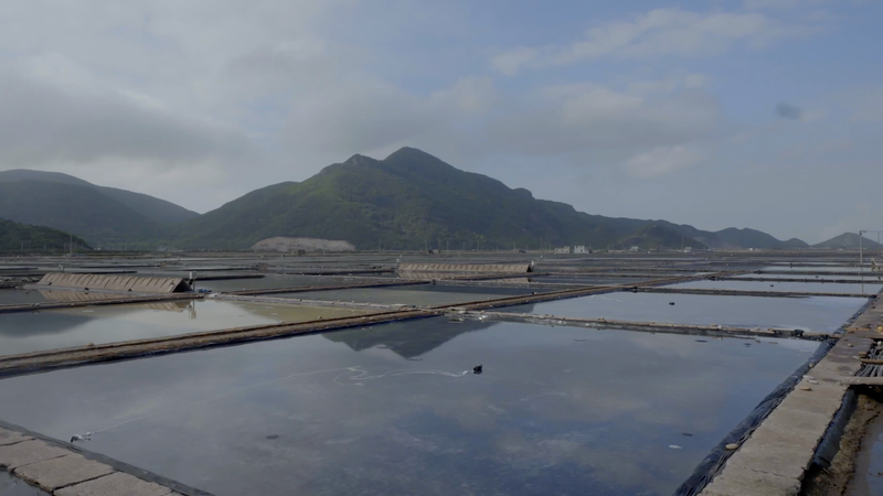 🌊🧂 Centuries-Old Sea Salt Craft Shines in Zhejiang! 🌊🧂 Centuries-Old Sea Salt Craft Shines in Zhejiang! video poster