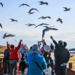 Bayanbulak Grassland: Xinjiang’s Autumn Paradise 🌾🍂