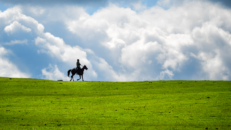 Discover Kalajun: Xinjiang’s Hidden Summer Paradise 🌿🏔️ video poster