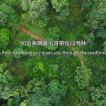 T28BLBX7Z3NX5QKFKFT7 - 🌍NewspaperAmigo – Your Global News Buddy 🗞️ 🌿 Meet the Blang Guardian Preserving Yunnan’s Rainforest Secrets 🌍 video poster