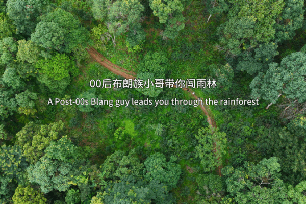 🌿 Meet the Blang Guardian Preserving Yunnan’s Rainforest Secrets 🌍 🌿 Meet the Blang Guardian Preserving Yunnan’s Rainforest Secrets 🌍 video poster