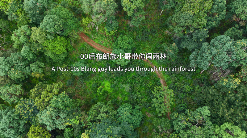 🌿 Meet the Blang Guardian Preserving Yunnan’s Rainforest Secrets 🌍 video poster
