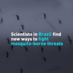 U07GI4QDKRL9DBLV0HPZ - 🌍NewspaperAmigo – Your Global News Buddy 🗞️ Brazilian Scientists Unleash Mosquito Warriors Against Global Disease Threat 🦟⚔️ video poster