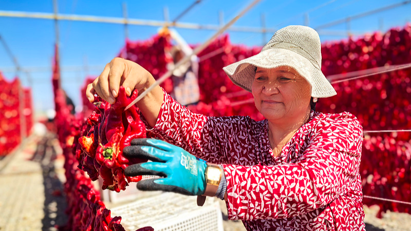 Xinjiang Thrives: White Paper Highlights Historic Development π Xinjiang Thrives: White Paper Highlights Historic Development π