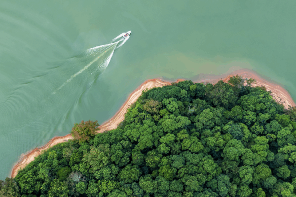 China Advances Major Environmental Code in Legislative Push ๐ฑ๐ China Advances Major Environmental Code in Legislative Push ๐ฑ๐