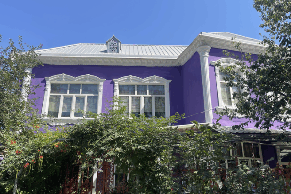 Xinjiang’s Lavender Fields: Ili’s Purple Paradise 🌸💜