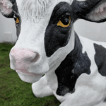 Hubei’s Smart Ranch Revolution 🐄💡 Boosts Milk & Rural Economy! video poster