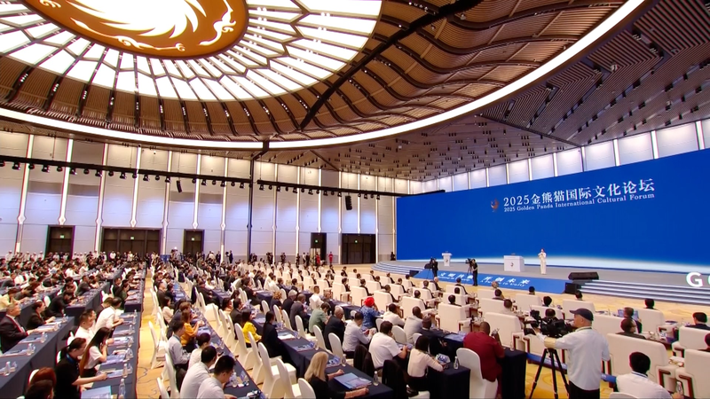 VJAJCJCP4WLAY1VNL2Y5 - 🌍NewspaperAmigo – Your Global News Buddy 🗞️ Golden Panda Awards 2025: Bridging Cultures Through Unity 🌏🎭 video poster